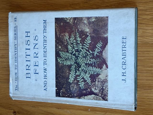 British Ferns and How To Identify Them