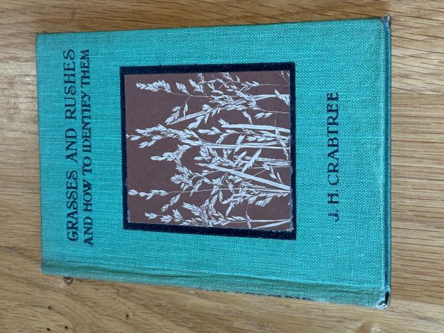 Grasses and Rushes and How To Identify Them