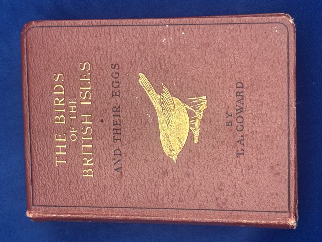 The Birds of the British Isles and Their Eggs