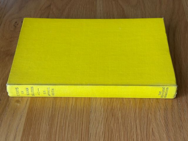Essays on Human Evolution