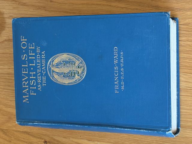 Marvels of Fish Life