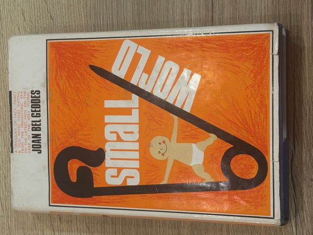 Small World: A History of Baby Care from the Stone Age to the Spock Age