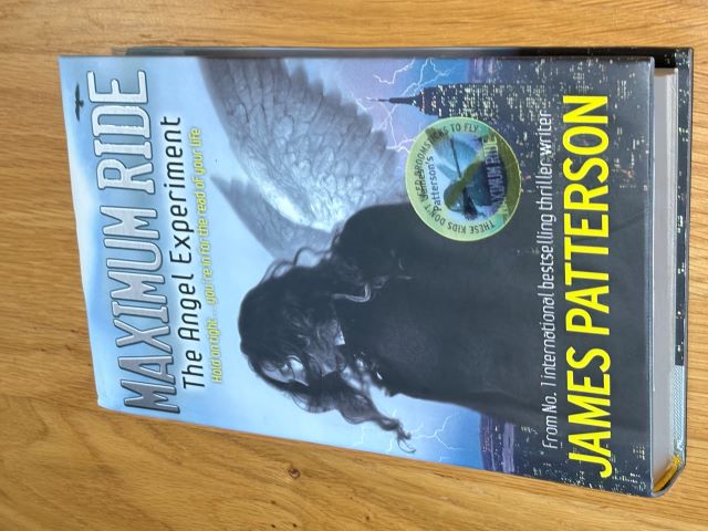 Maximum Ride The Angel Experiment