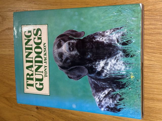 Training Gundogs
