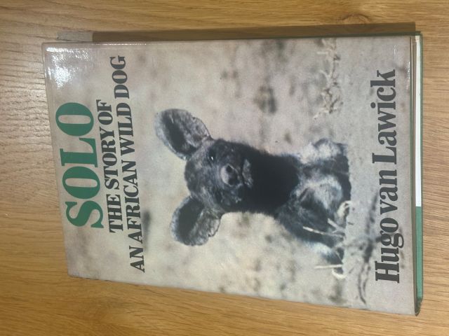 Solo: The Story of an African Wild Dog
