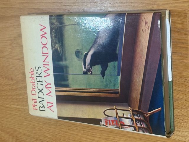 Badgers at My Window