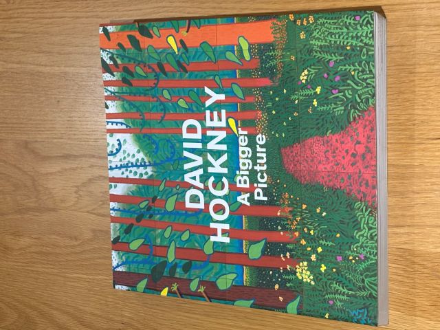 David Hockney A Bigger Picture