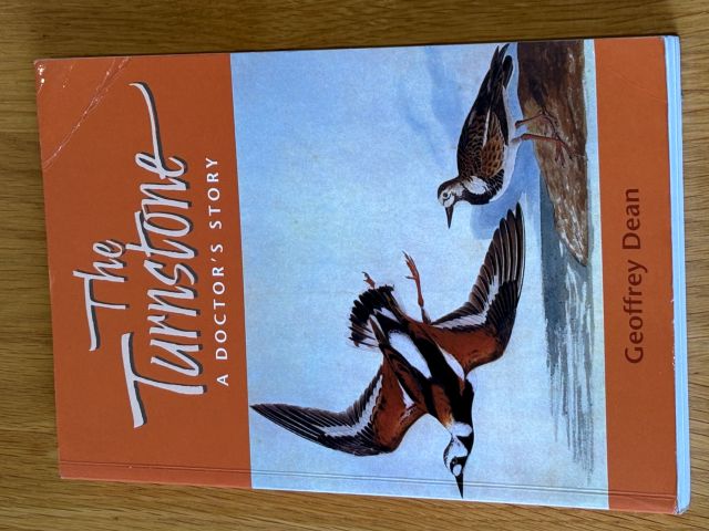 The Turnstone A Doctor's Story