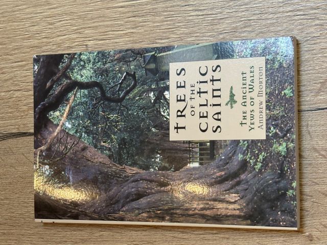 Trees of the Celtic Saints