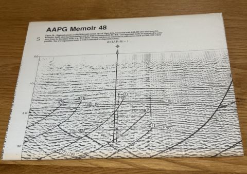 Divergent/Passive Margin Basins (AAPG Memoir) (Volume 48)